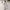 ROSS DISERA Brukat Lace Midi Skirt Cream Furing Stretch Wais photo 2
