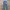 Lodern Long Pants Denim Streecth 