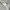 Uniform bridge us navy tshirt photo 5