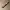 KIVA Concealer & MIZZU Contour & Concealer(corrector)