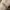 KIVA Concealer & MIZZU Contour & Concealer(corrector) photo 4