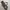RALPH LAUREN canvas leather tote bag
Canvas mix leather photo 8