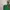 RALPH LAUREN canvas leather tote bag
Canvas mix leather photo 7