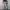 Baggy Pants Jeans By Lone photo 2
