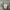 Crewneck sweater grey photo 5