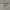 Tshirt Salur TZone photo 3