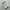adidas superstar photo 3