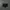 Umbro boxer brief black green photo 2