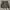 Minimalist Casual Mini skirt Wanita gray photo 2