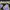Jersey basket adidas Lakers photo 4