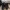 Converse Chuck Taylor All Star Cruise Flame photo 3