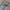 Musisa standart baggy long pants denim photo 5