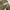 Y2k Tank Top Lace-Up Camo Multifabric photo 4