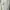 Convers x Rick Owens TURBOWPN DRKSHDWNOT Jeremy Scott stussy photo 8