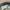 UNIQLO Skinny Jeans Ultra Stretch Tapered photo 4