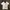 Y2K Spinash Poem T Shirt