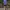 Jersey nike drifit running photo 2