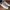  Nike Court Vintage White Gum photo 4