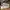 Nike Air Force 1 Low Dmsx React