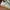 Nike Air Force 1 Low Dmsx React photo 2