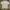 Tshirt Carhartt k84 hgy photo 2