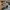 Tshirt Carhartt s/s pocket photo 4