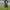 Jersey Inter Milan 2016 Player : Nagatomo photo 9
