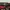 Topi/Caps 47 MLB Arizona DiamonDbacks photo 5