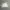 Adidas Grey Colour Tracktop Jacket photo 2