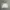 Adidas Grey Colour Tracktop Jacket