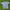 Polo Ralph Lauren Vintage Y2K Polo Shirt Pria Blue