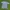 Polo Ralph Lauren Vintage Y2K Polo shirt Pria blue photo 3