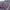 Minimalist Casual Puffer jacket Pria purple white photo 6