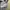 Fred Ferry Size M photo 5