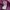 LYNXSPORT Streetwear Casual Puffer jacket Wanita purple photo 7