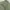 MADEN by UNCLEFU Relaxed Courduroy Pants Olive photo 3