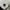 45RPM STUDIO Japan Wide Pants Courduroy Army photo 6