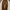 Japanese brand Vintage Y2K Jeans Pria brown photo 2