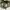 Trousers Woodland Camo Pattern Cargo photo 5