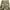 Trousers Woodland Camo Pattern Cargo photo 4