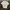 FCUK FRAGRANCE “The only thing i wear in bed” White Tee photo 2