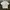 FCUK FRAGRANCE “The only thing i wear in bed” White Tee photo 4
