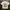 UT X MUSEE DU LOUVRE PARIS White Tee