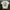 (Rare) 00s FUCT SSDD RXCX RIC CLAYTON “NO MERCY” Pocket Tee