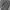 Japanese brand Streetwear Skater Jeans Pria multicolor black photo 5