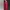 Adidas Sweatshirt Pria red photo 2