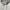 Champion Eco Zip Hoodie Off White Grey Classic OG Logo photo 4