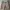 Celana Levis Ace Short Cargo Brown Second