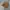 CARHARTT WIP ONYX BEANIE photo 3