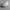 Coach woman sunglasses photo 5